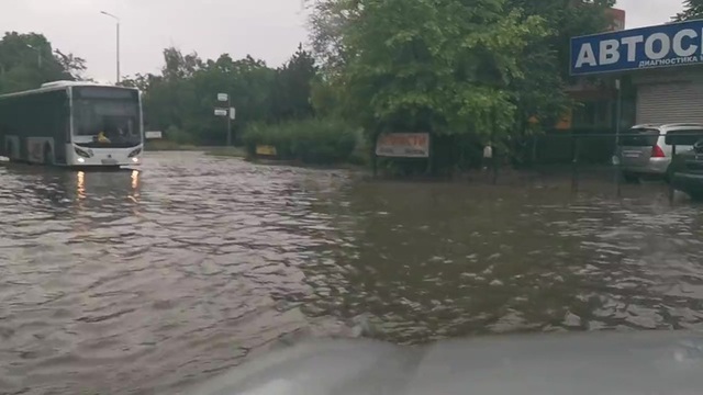 Снимка: В района на пристанище Ченгелов Пловдив