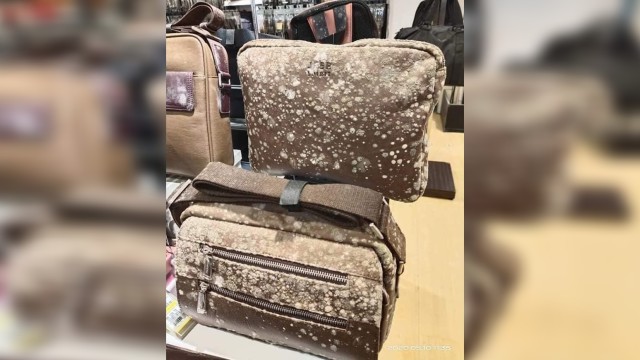 Снимка: След двумесечна карантина: Кожени изделия в малайзийски мол се покриха с плесен (СНИМКИ)