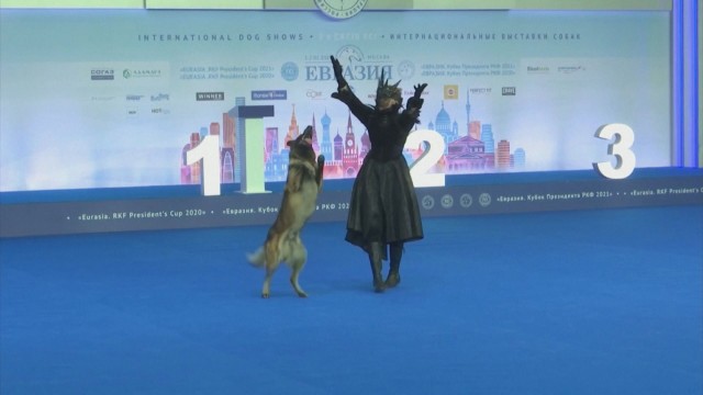 Снимка: Кучета и техните стопани и участваха в нестандартно танцово състезание 