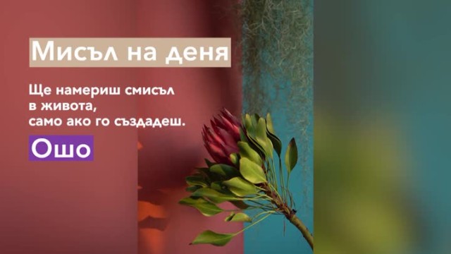 Снимка: Мисъл на деня от Ошо