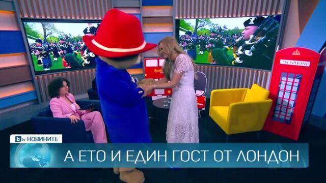 Снимка: Мечето Падингтън се появи в студиото ни, за да гледа коронацията на крал Чарлз III (ВИДЕО)