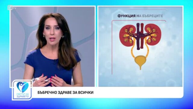 Снимка: Как да пазим бъбреците си здрави?