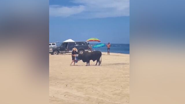 Снимка: Туристка беше нападната от бик на плаж в Мексико (ВИДЕО)