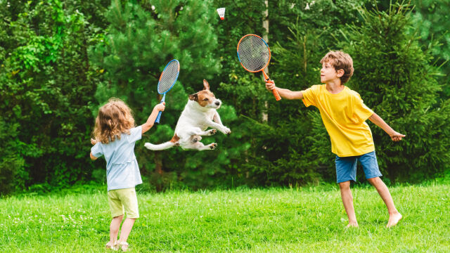 Снимка: Мисъл на деня от Луис де Берниер (СНИМКИ + ВИДЕО)