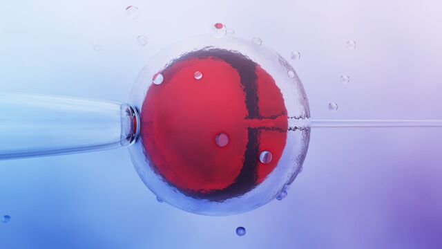 Снимка: Нов вид инвитро елиминира до 80% нуждата от хормонални инжекции