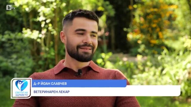 Снимка: Д-р Йоан Славчев: Човек трябва да е доста осъзнат, когато взема домашен любимец (ВИДЕО)