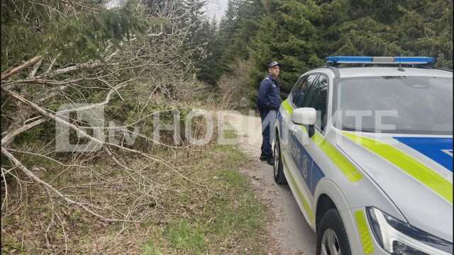 Открито е обезобразено тяло на мъж на Витоша 