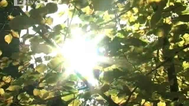 Снимка: WWF с конкурс за кратък филм за природата 