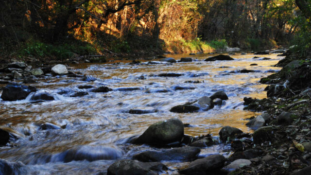 Снимка: МОСВ нареди кметовете и областните управители да предприемат мерки за почистване на речни корита и дерета