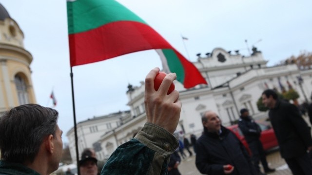 Снимка: Доматена акция срещу властта