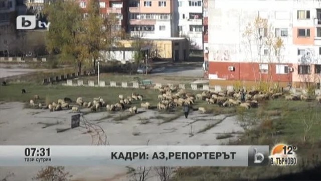 Снимка: Кадри от Аз, репортерът