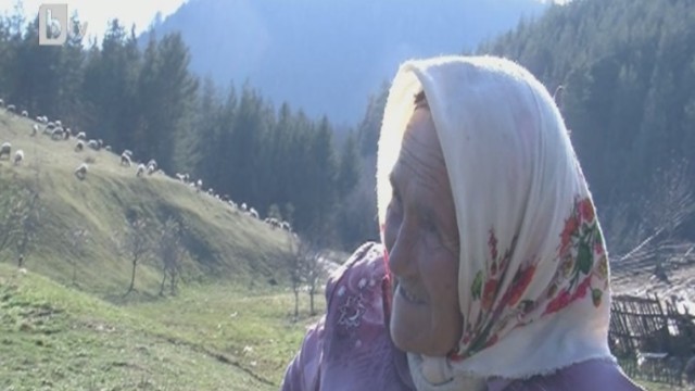 Снимка: Набези на вълци стряскат хората край Якоруда