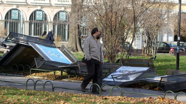 Снимка: Над 1000 сигнала на тел. 112 заради бурите в София