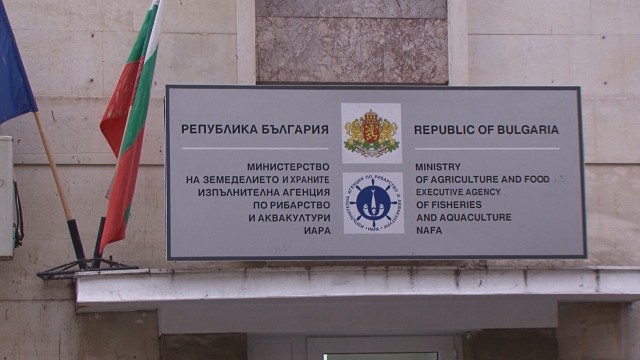 Снимка: Обвинените за източване на пари от ИАРА станаха четирима