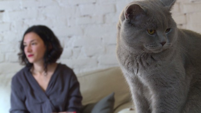 Снимка: Котаракът Румен стана блогър на годината