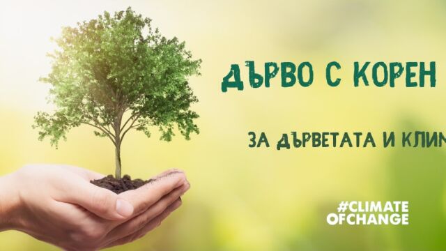 Снимка: 