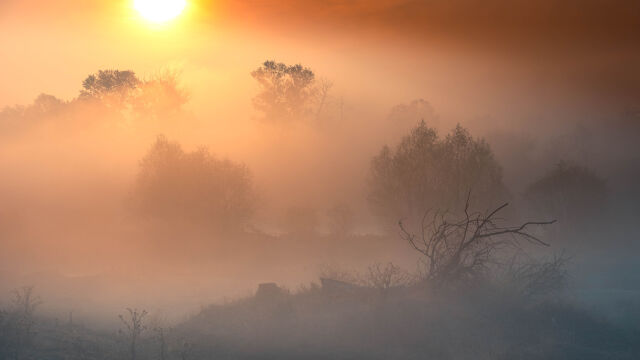 Слънце в сряда с максимални температури до 12 градуса 