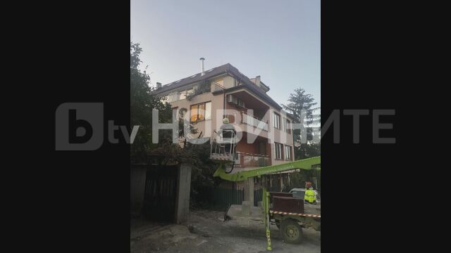 Снимка: Бор падна върху жилищна сграда в София (ВИДЕО и СНИМКИ)