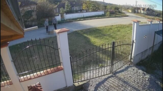 Снимка: Полицията разследва нападение на питбул над улично куче