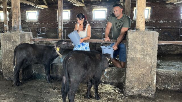 Снимка: Защо младите хора предпочитат живот на село - вижте във „Вкусът на България“ (ВИДЕО)