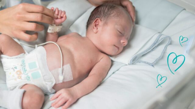 Снимка: Pampers продължава своята мисия да подкрепя недоносените бебета в България