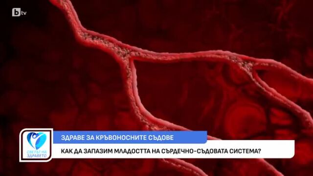 Снимка: Как да запазим младостта на сърдечно-съдовата система?