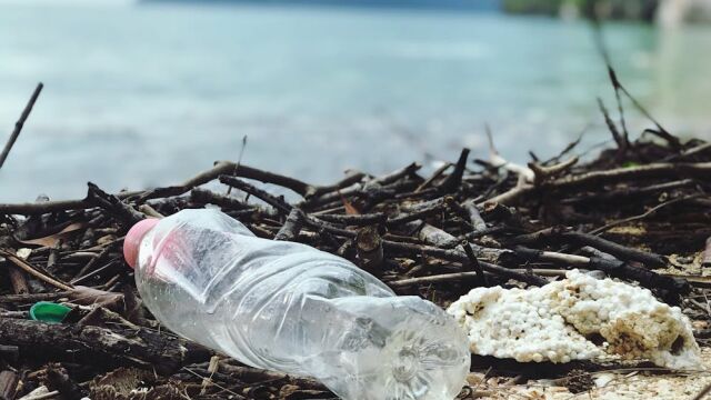 Снимка: Учени създадоха пластмаса, която се разгражда във вода