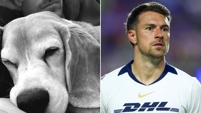 Снимка: Аарън Рамзи напусна мексикански гранд заради... куче