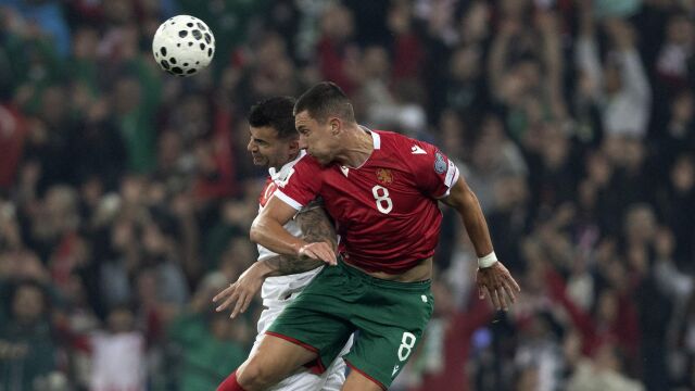 Снимка: Ще бием ли Грузия? (АНКЕТА)