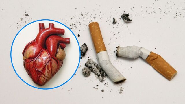 Снимка: Само 2 цигари на ден увеличават с 50% риска от сърдечни заболявания
