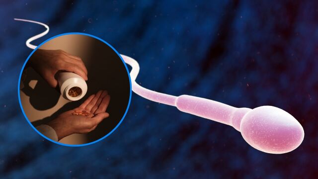 Снимка: Подобряват ли мъжката плодовитост добавките с антиоксиданти