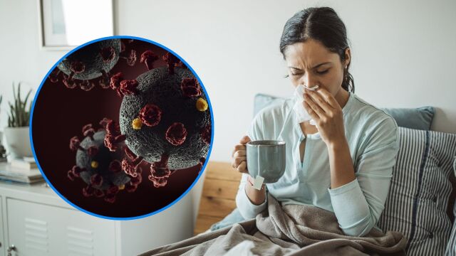Снимка: Какви са симптомите на новия зимен грип и как да се предпазите?