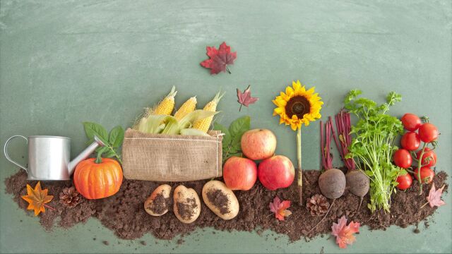 Снимка: Био храните: По-добри ли са за здравето и помагат ли за отслабване?