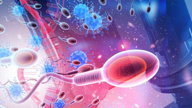 Снимка: Какво разкрива спермата за общото здраве на мъжа?