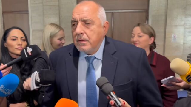Снимка: Борисов: В държави, които Радев харесва, демокрация няма