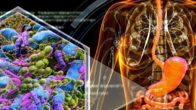 Снимка: Какво са синбиотиците и кога е подходящо да ги приемаме?