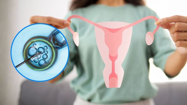 Снимка: Замразяване на яйцеклетки: Как да запазите репродуктивния си потенциал