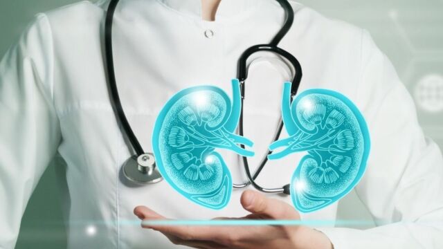 Снимка: Бъбречна трансплантация: Кога се налага и има ли рискове