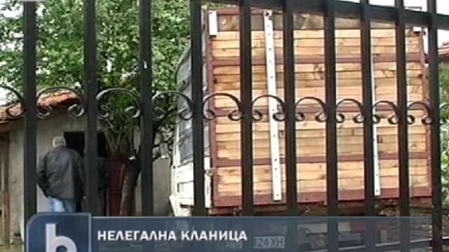 Снимка: Откриха нелегална кланица в Левски