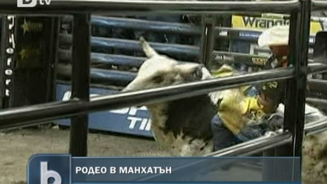 Снимка: Нюйоркчани наблюдаваха родео в сърцето на Манхатън