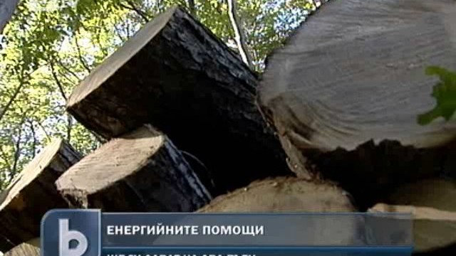 Снимка: Все повече българи лъжат, за да получат помощи за отопление