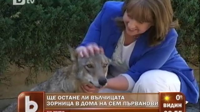 Снимка: Районът около хижа 
