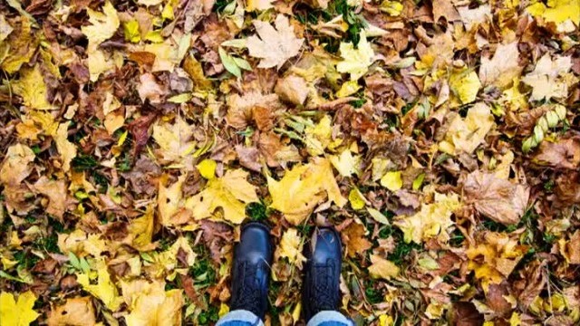 Снимка:  Криза на средната възраст - как да помогнем на мъжа до себе си