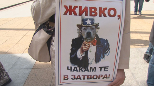 Снимка: Защитници на животните поискаха затвор за убиец на котка