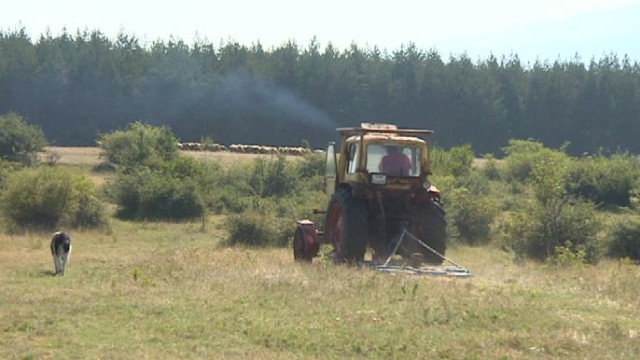 Снимка: 20% от активното население е било заето в селското стопанство
