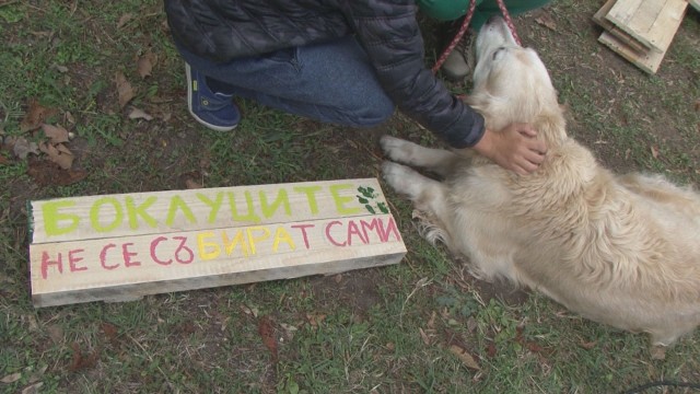 Снимка: Ентусиасти превърнаха боклуци в табели със „зелено” послание