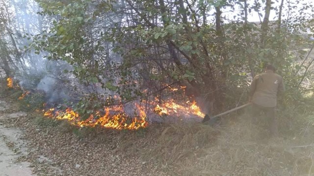 Снимка: Пожар изпепели 3000 дка в Монтанско