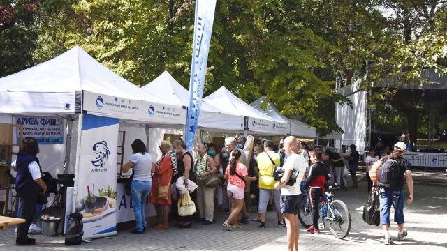 Фестивал на рибата - вкусно и полезно