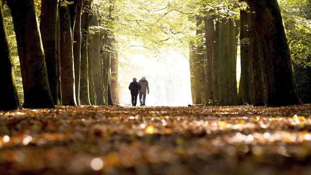 Прогнозата на проф. Георги Рачев: Топъл ноември, но с облаци и валежи
