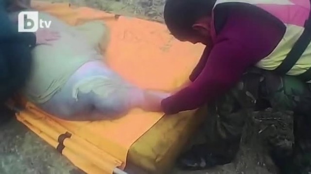 Снимка: Спасиха уникално красиви розови делфини (ВИДЕО)